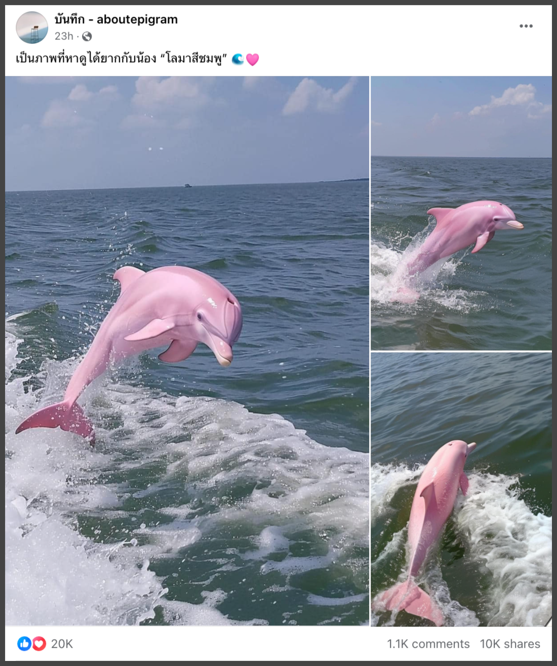 A screenshot of a dolphin jumping out of water  Description automatically generated