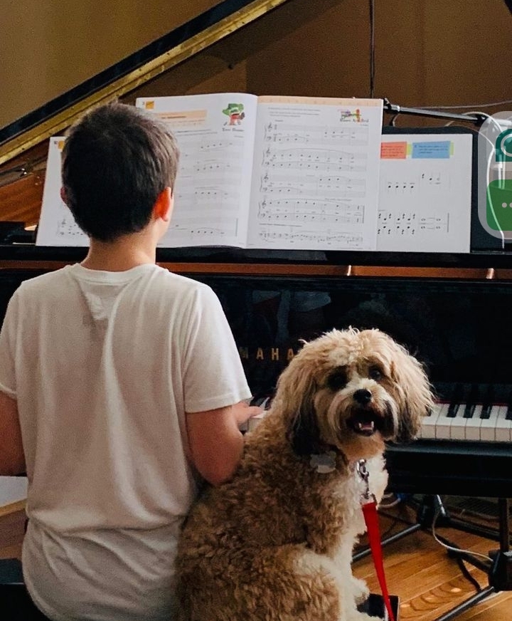 William Huckleberry Paisley playing the piano with his dog