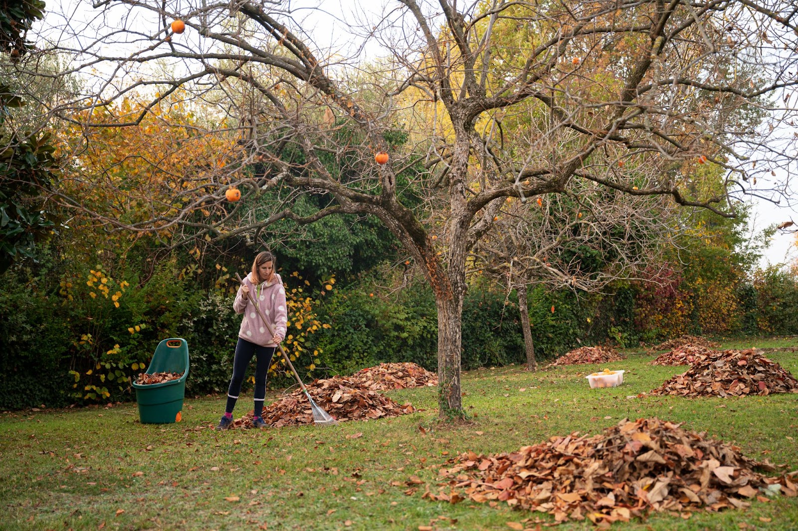 Fall Cleaning