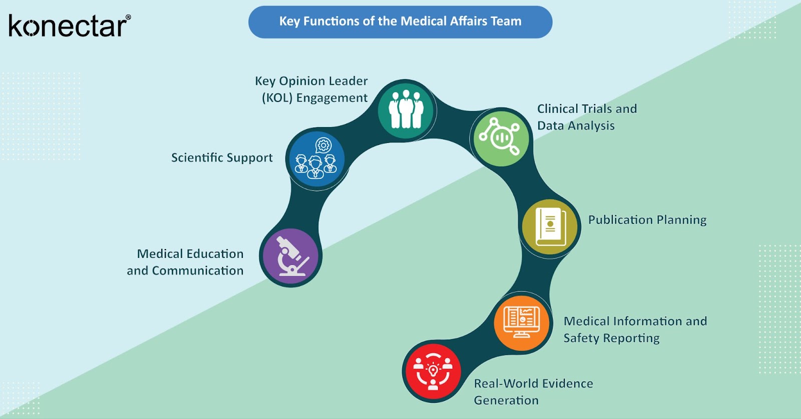 Functions of the Medical Affairs Team