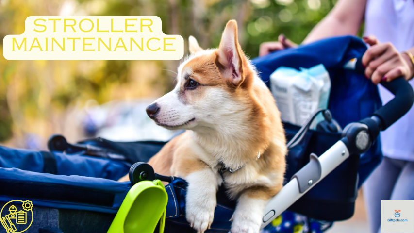 Maintenance and Care of Your Pet Stroller