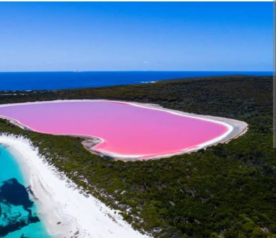 Exploring Earth's Natural Marvels: Blood Falls, Reverse Waterfalls, Lake Hillier, and Chocolate Hills