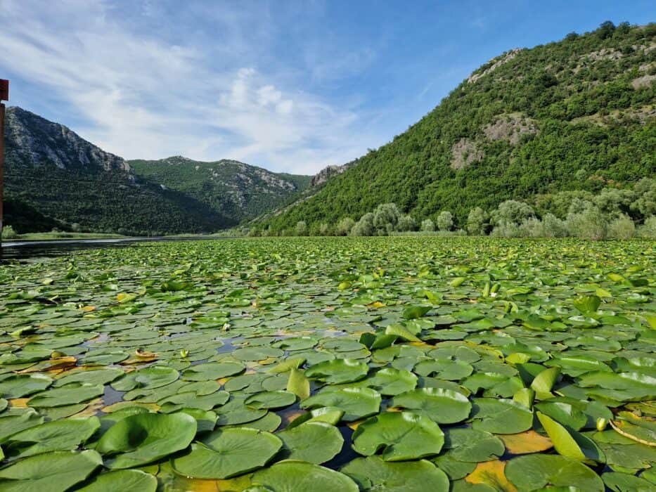 Lake Skadar