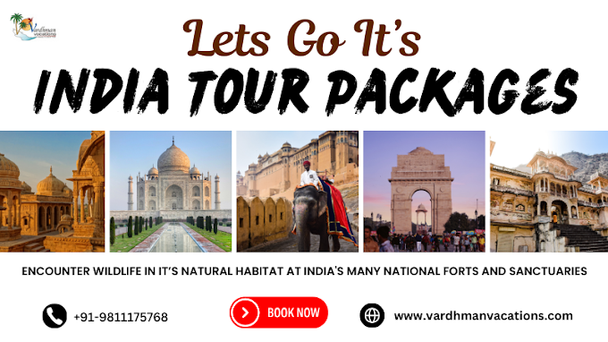 Exploring the Best India Tour Packages