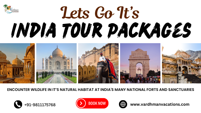 best india tour packages 