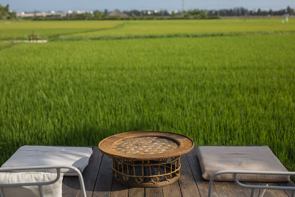 Vietnam rice fields 2