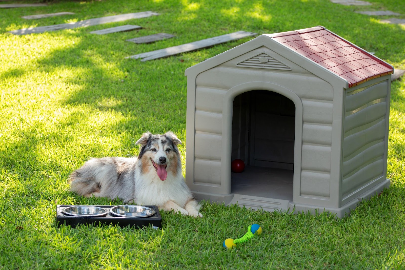 A dog lying in the grass next to a dog house

Description automatically generated