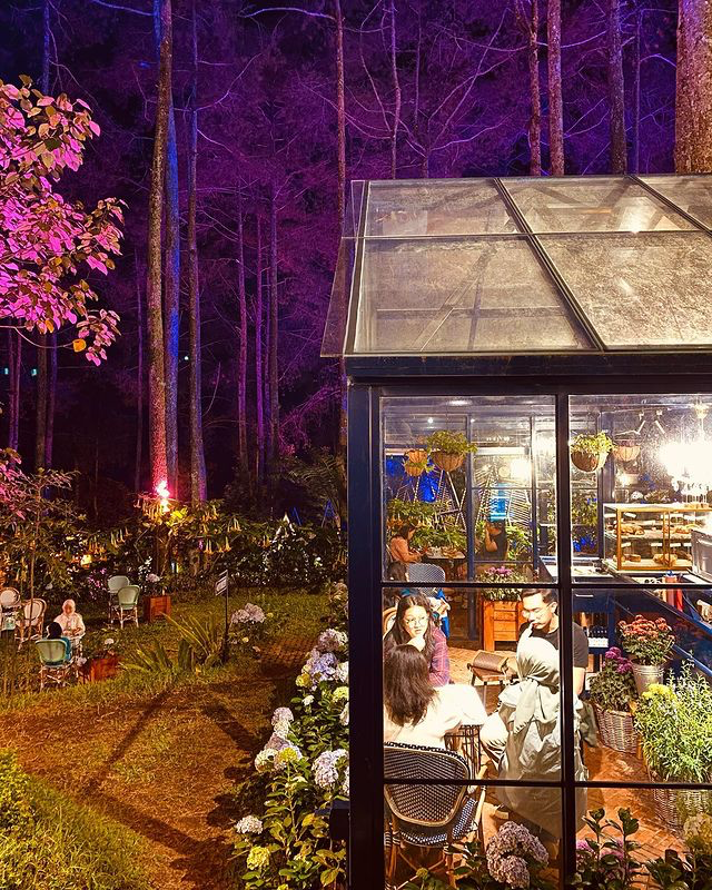 5 Rekomendasi Tempat Wisata Alam Di Bandung yang Terjangkau dan Cocok Buat Healing - Orchid Forest Cikole