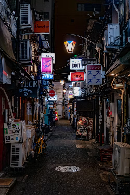 Night view of Golden Gai, lit up by street signs and lights