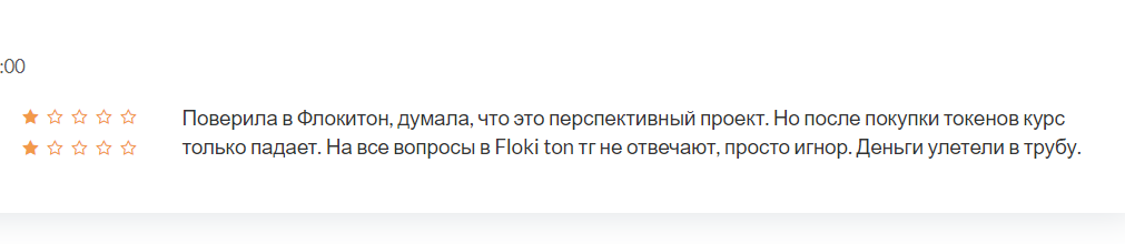  FlokiTon комментарий