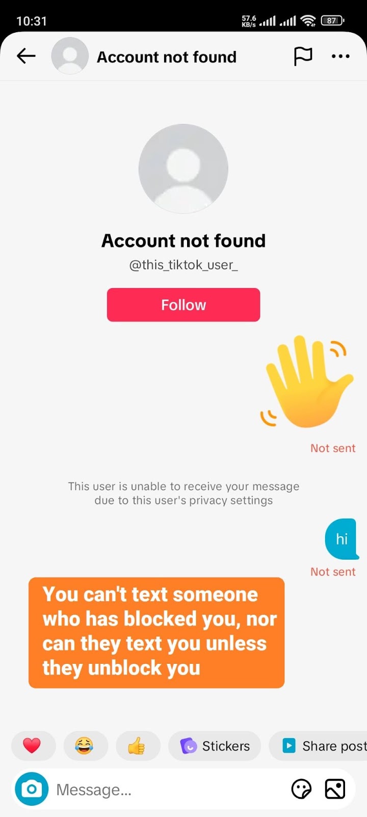 Mobile screenshot of a TikTok chat between you and the TikTok account that has blocked you, & your messages are not being delivered.