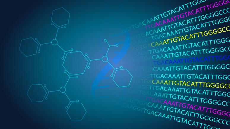 bioinformatics-careers