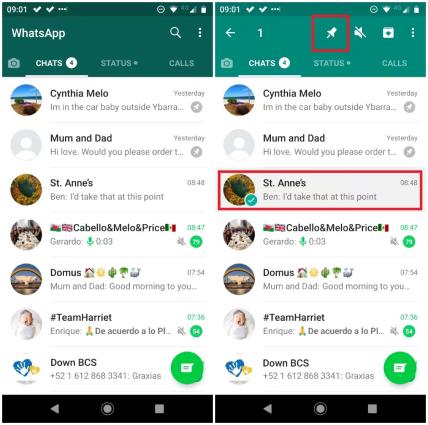 Pinning a Message on WhatsApp