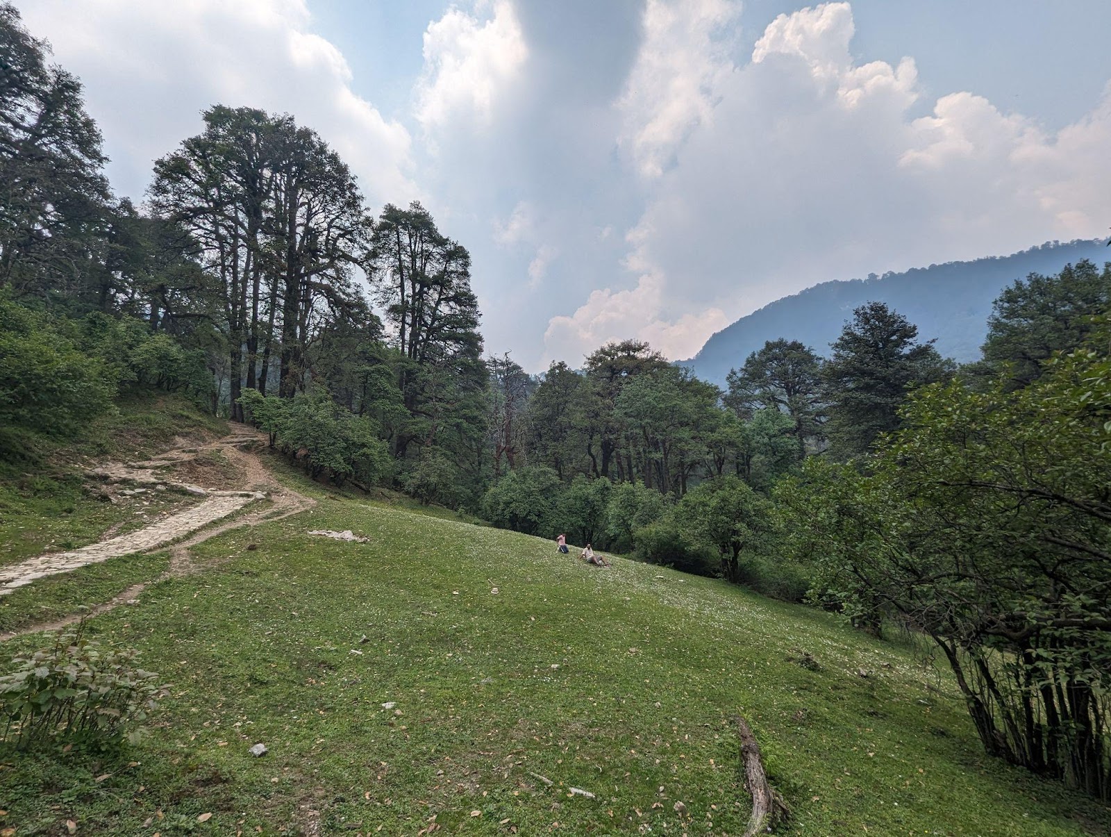 towards the gui campsite of dayara bugyal