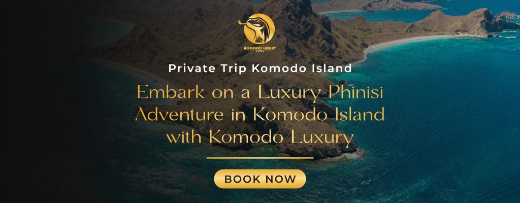 Banner Private Trip Komodo Island