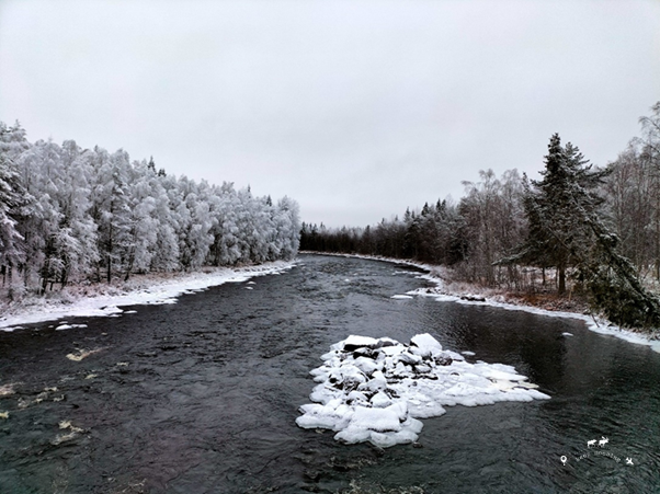 River flowing through snowy forest outside Rovaniemi. Photograph taken from a nearby bridge. On the sides the Lappish forest.