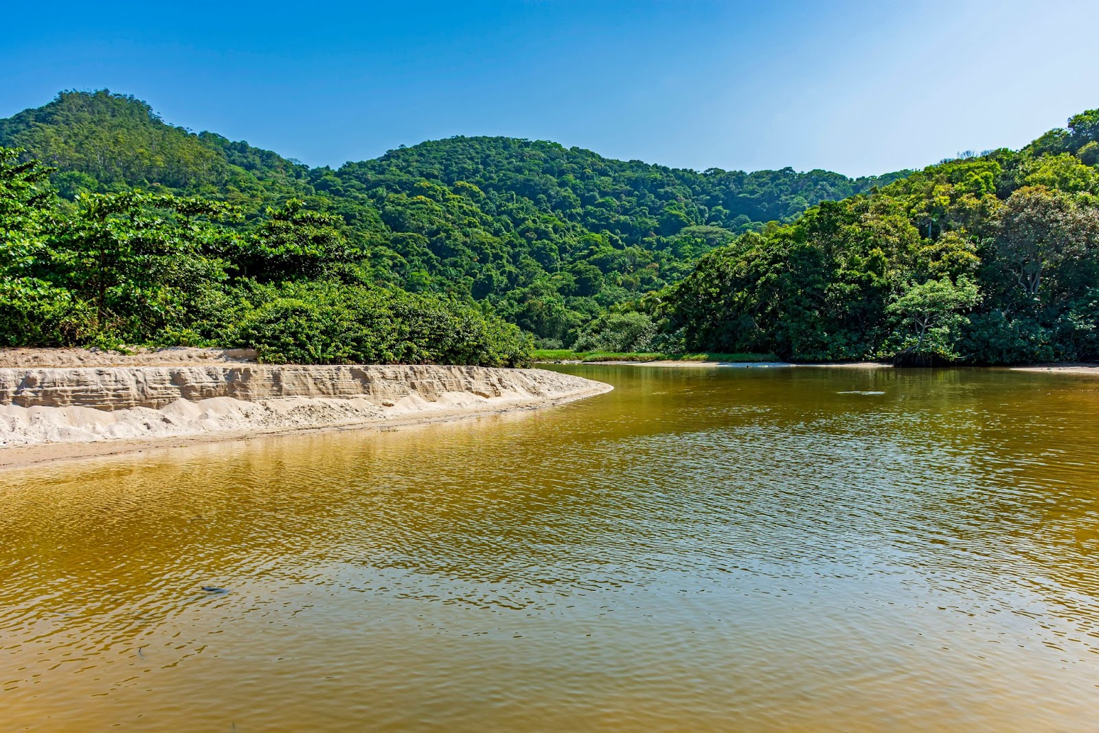 Vista de um rio em Bertioga.