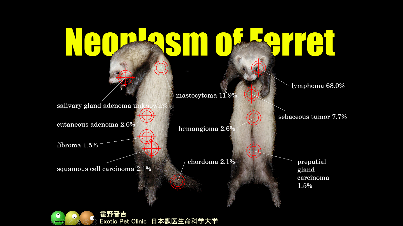 Dr.ツルのプロフィール – 飼育情報 | エキゾチックアニマル情報室