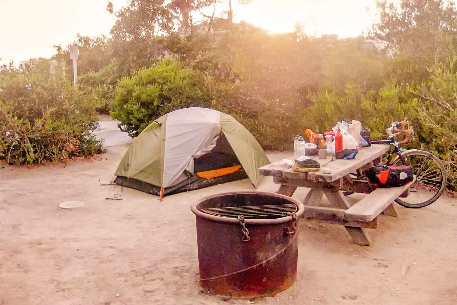 Doheny State Beach Camping: Ultimate Guide to Coastal Adventure