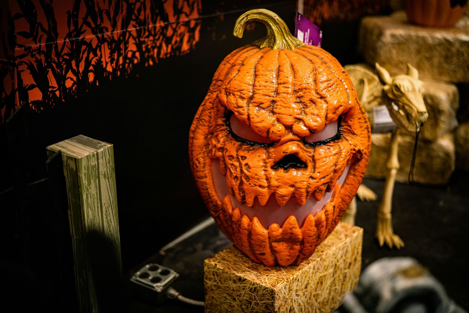 Spooky pumpkin in Salem, MA