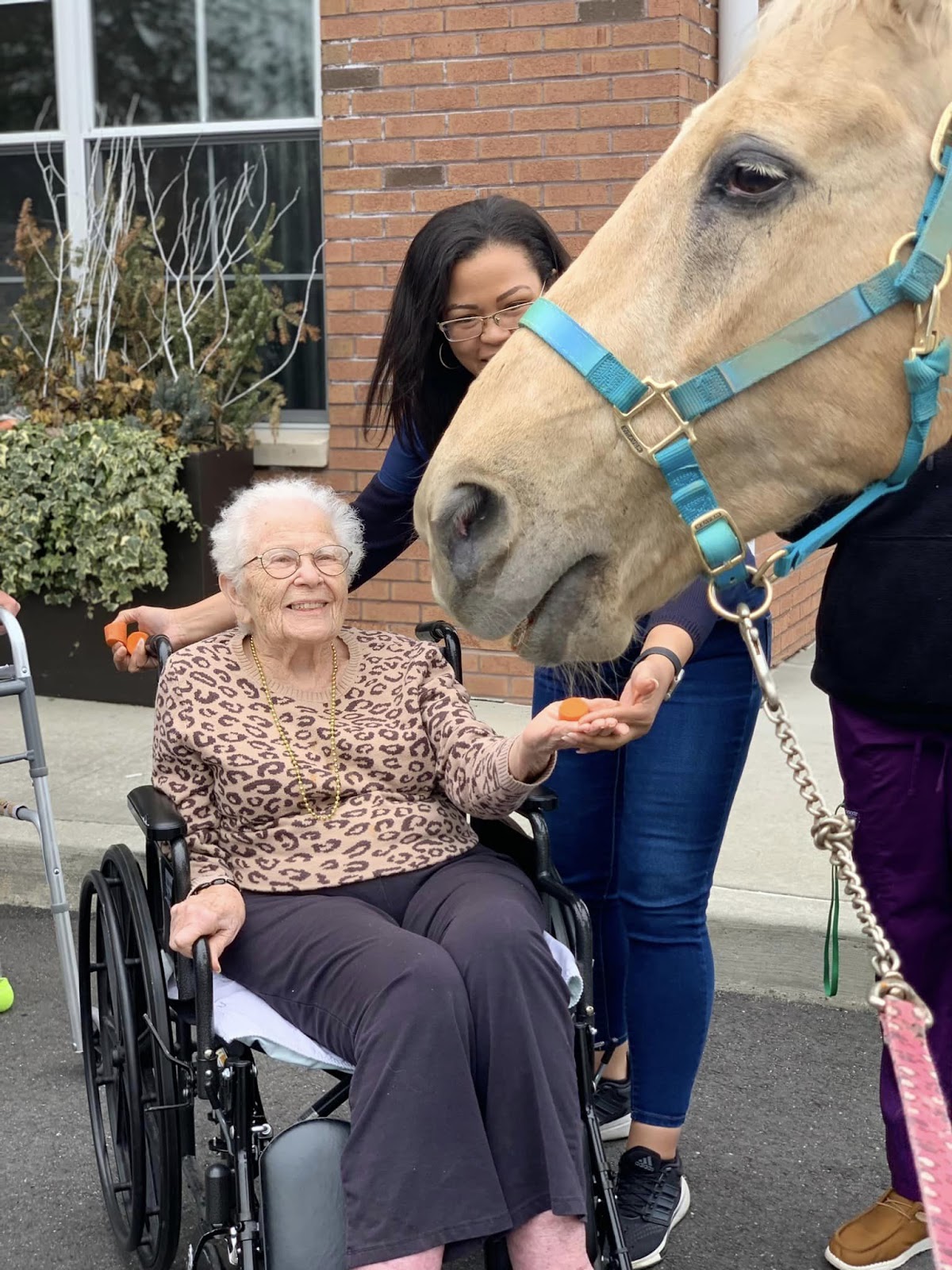 An elderly woman in a wheelchair feeding a horse oranges at a memory care facility