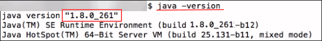 java version 1.8.0_261 installed on macOS