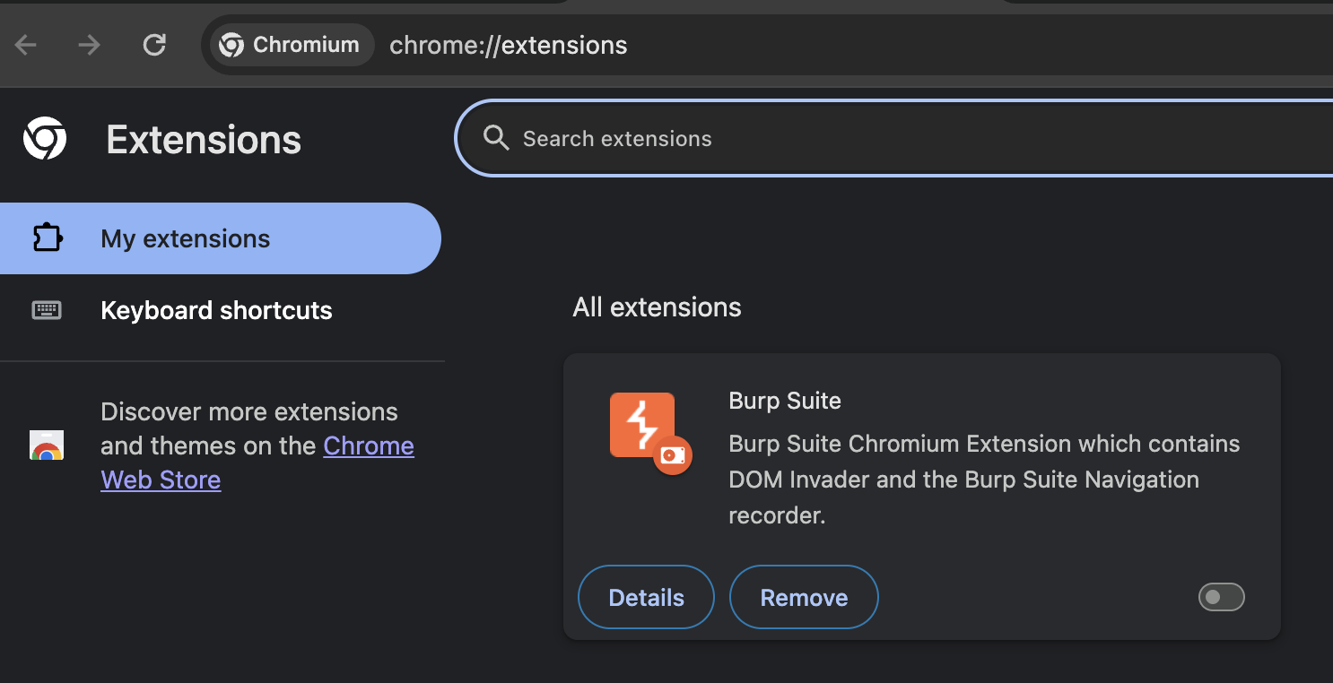 Chrome extension for Burp Suite