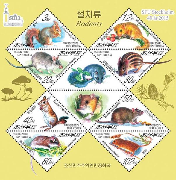 Cau chuyen sau nhung con tem o Trieu Tien hinh anh 8