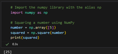 Example output of Python square using the NumPy library.