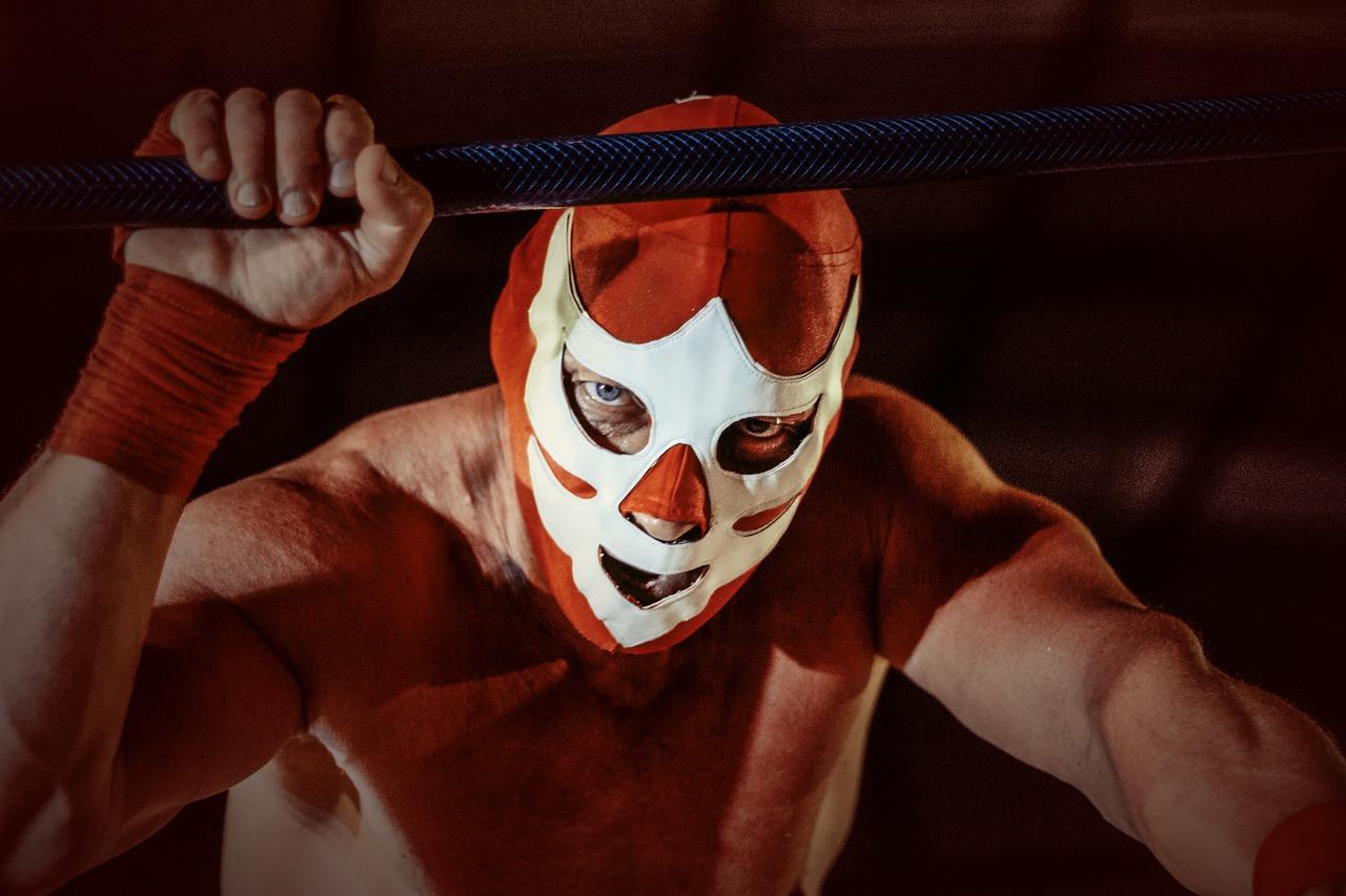 Free Wrestler Mask photo and picture