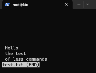 Example Usage of `less` command in Linux
