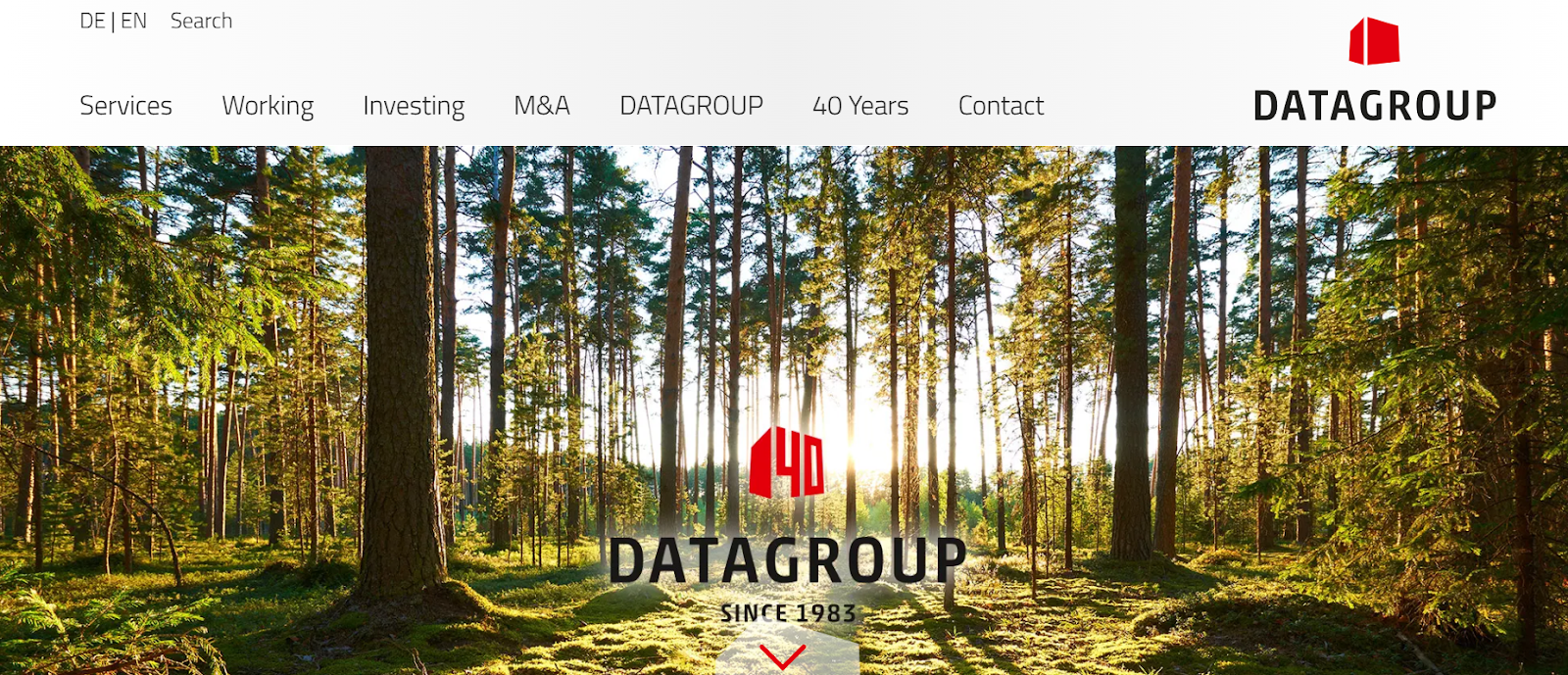 DataGroup website snapshot highlighting the services it offers.