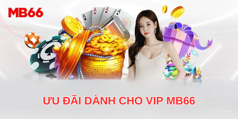 Ưu đãi lớn dành cho hội viên tham gia VIP CLUB