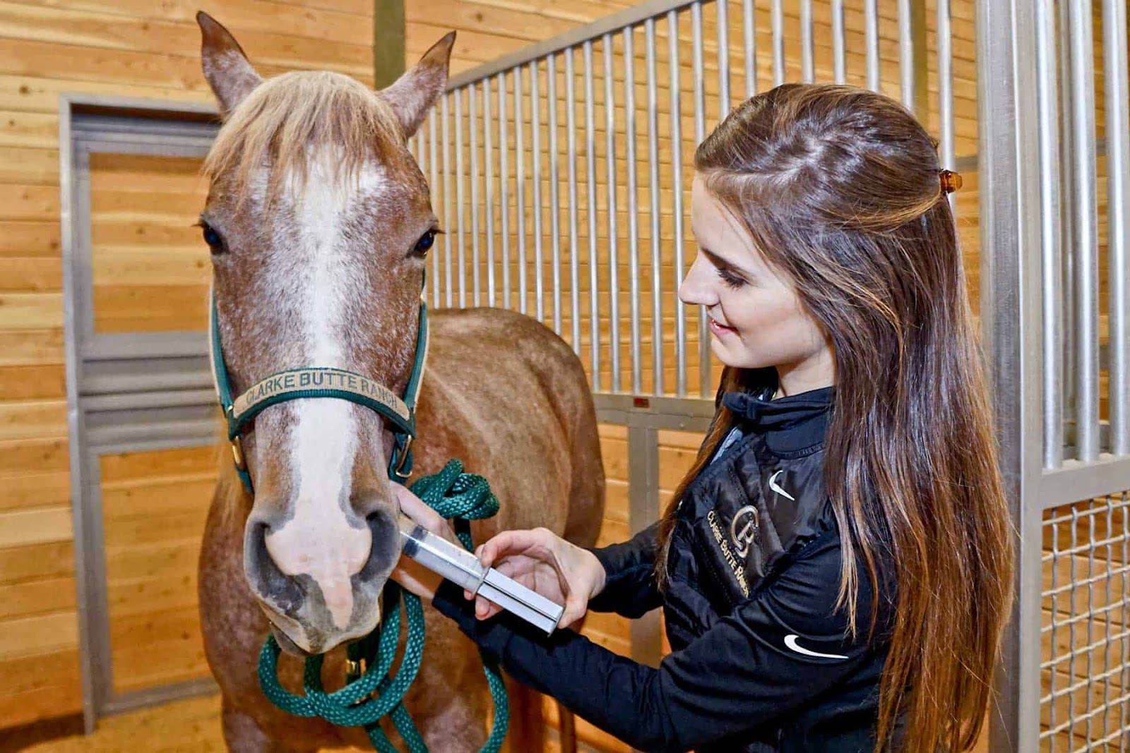 Horses Eat Medications. Source: The Horse