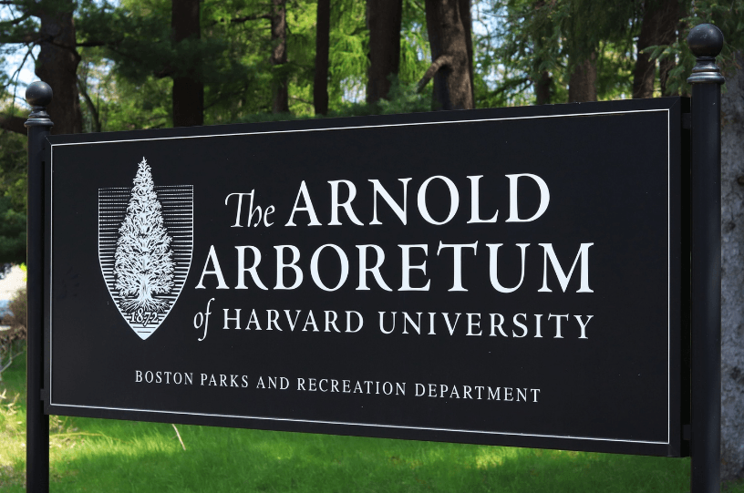 Workers at the Arnold Arboretum are without a contract as their union continues negotiations with Harvard for higher pay.