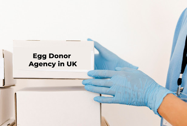 egg donation agency in uk