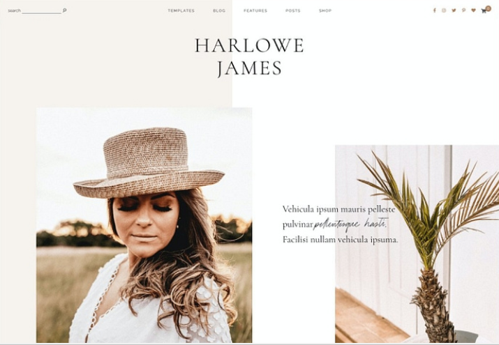 Harlowe James lifestyle blog theme