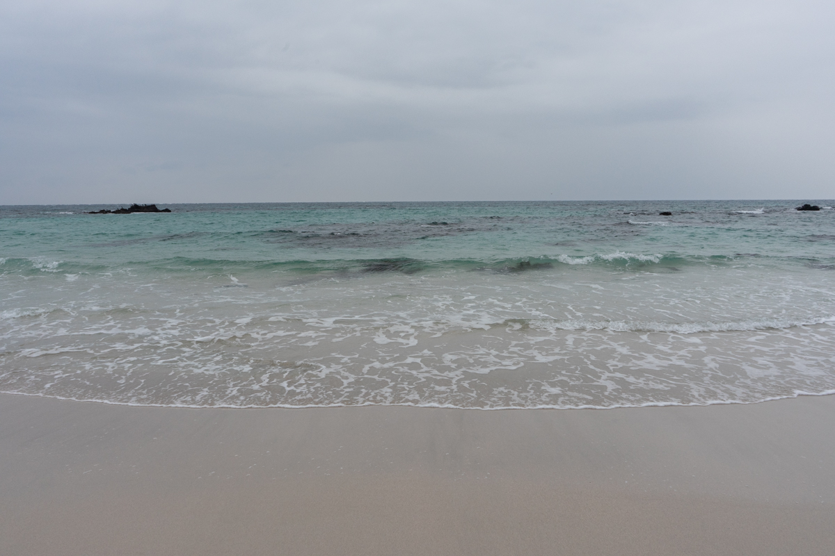 Cobalt blue sea and white sand beach