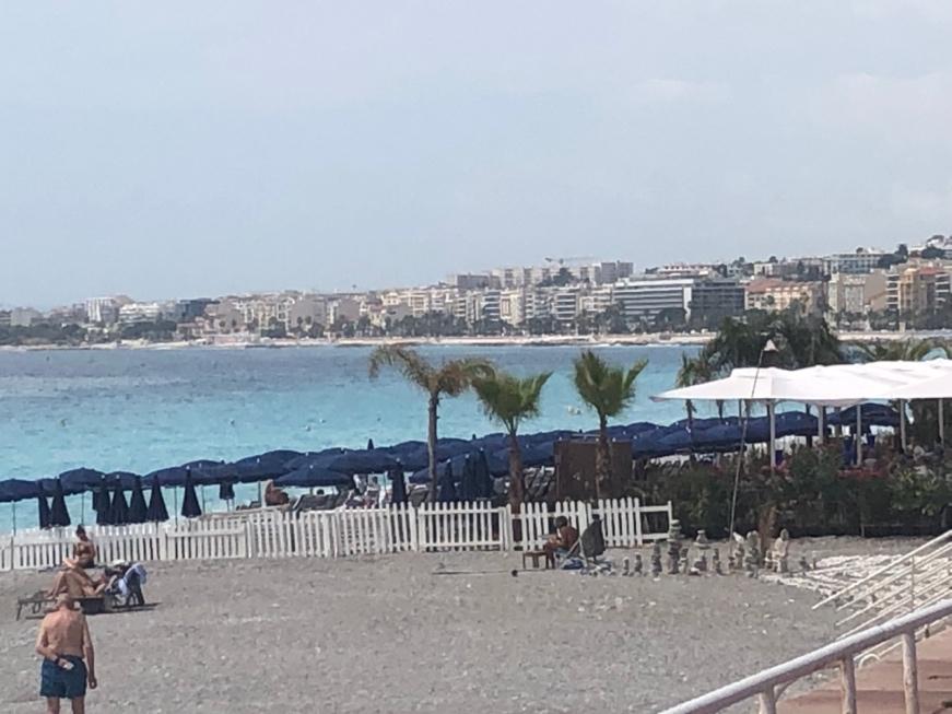 A beach with umbrellas and palm trees

Description automatically generated