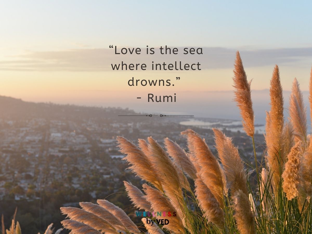 rumi quotes 