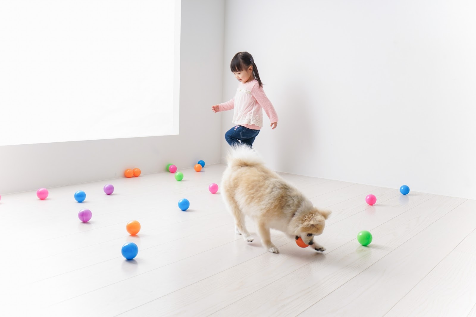 犬と一緒に遊ぶ子ども