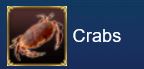 crabs.JPG