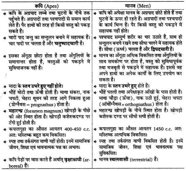 UP Board Solutions for Class 12 Biology Chapter 7 Evolution 2Q.12