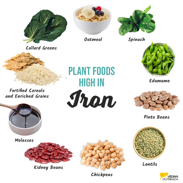 Plant foods high in iron: Spinach, Oatmeal, Dried Figs, Tofu, Almonds, Lentils, Kidney Beans, Chickpeas, Raisins, Sunflower Seeds, Green Peas