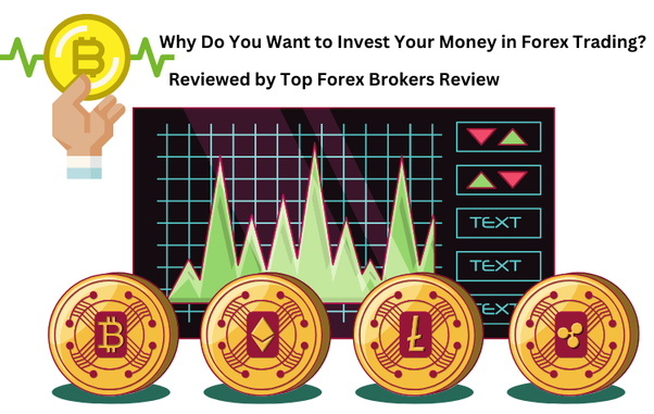 Why Do You Want to Invest Your Money in Forex Trading?