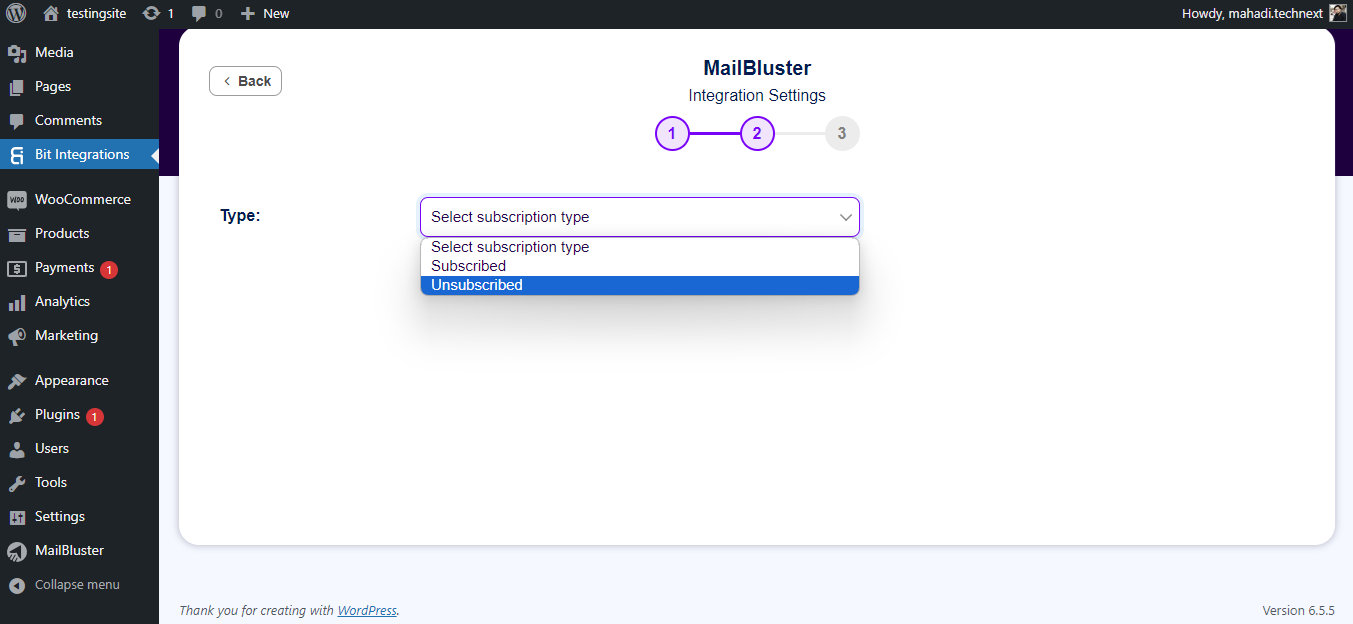 MailBluster integrations settings subscription type