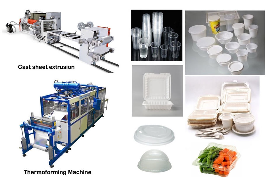 Cast sheet extrusion and thermoforming machine with its product portfolio. How To start a compostable product Manufacturing business in India?