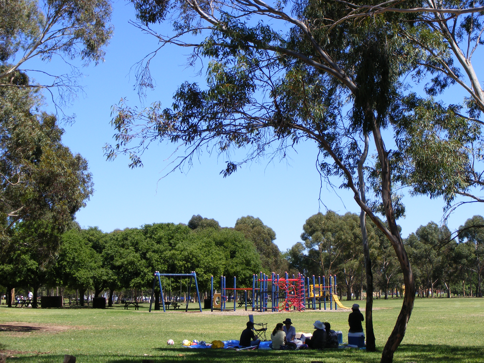 Bonython Park / Tulya Wardli