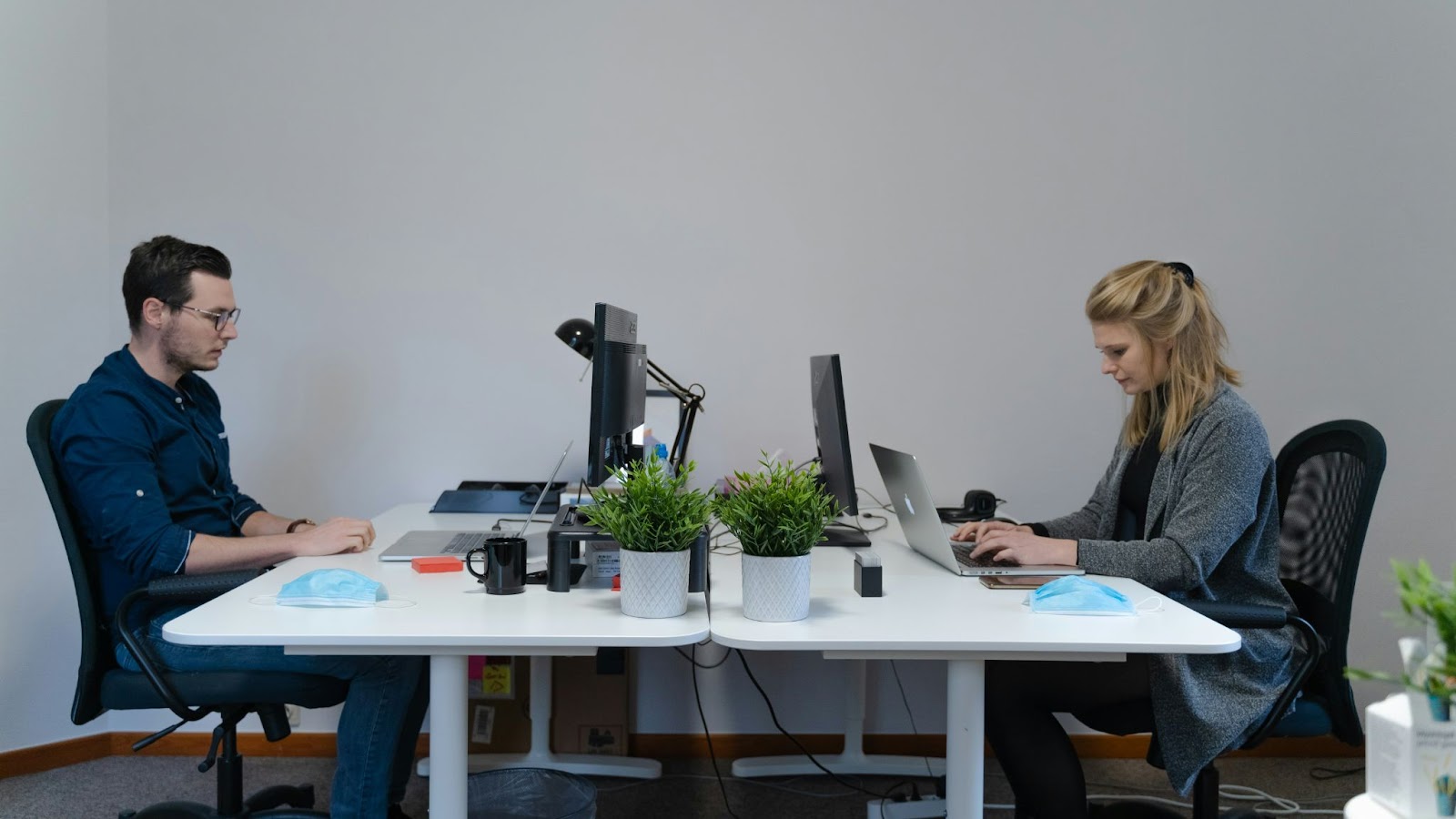 Two people working at desks with monitors and potted plants between them.