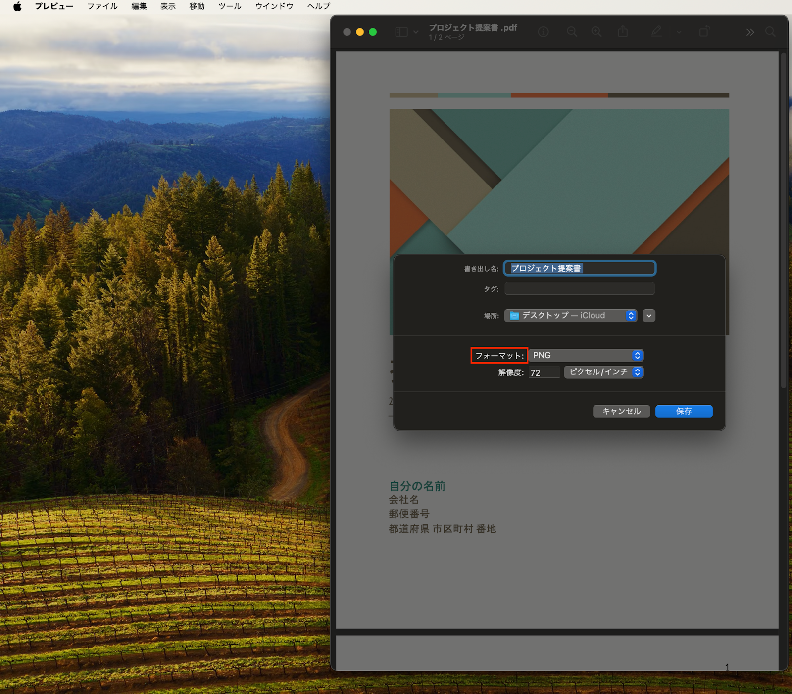 MacのプレビューアプリでPDFを画像保存2
